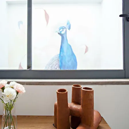 Clara Guest house 4*